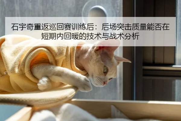 石宇奇重返巡回赛训练后：后场突击质量能否在短期内回暖的技术与战术分析