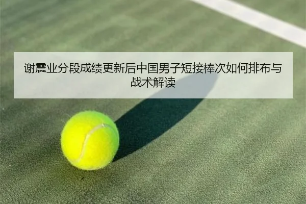 谢震业分段成绩更新后中国男子短接棒次如何排布与战术解读